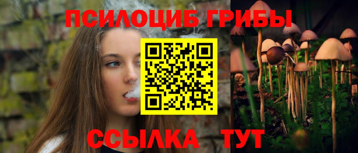 Орск  Галлюциногенные грибы Psilocybe  Вход с VPN 